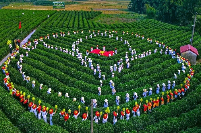 Cultural Tea Experience for the Diplomatic Corps at the International Tea Festival – Thai Nguyen 2026 Cultural Tea Experience for the Diplomatic Corps at the International Tea Festival – Thai Nguyen 2026