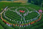 Cultural Tea Experience for the Diplomatic Corps at the International Tea Festival – Thai Nguyen 2026