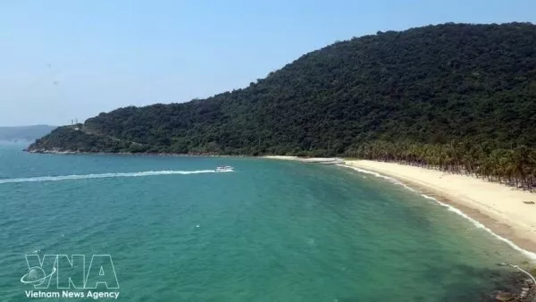 Biodiversity conservation underpins Da Nang’s ambition to become ecological coastal city