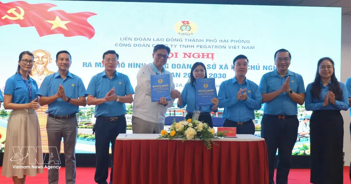 Hai Phong launches “socialist trade union” model at two major FDI firms Hai Phong launches “socialist trade union” model at two major FDI firms