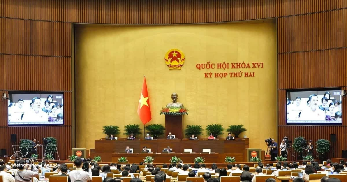 Minister pledges higher capital efficiency, sufficient resources for growth
