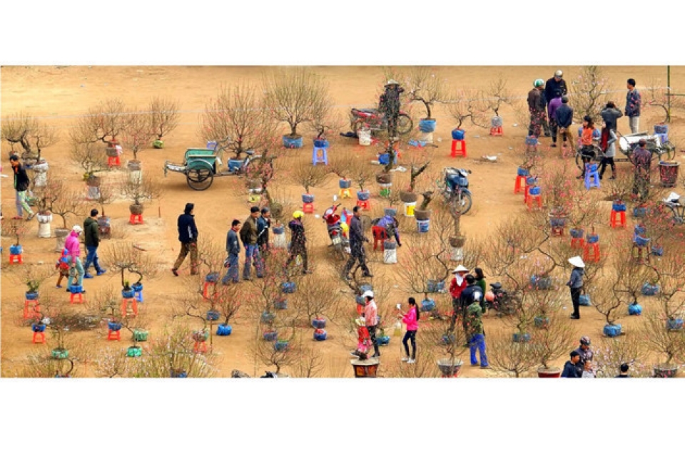 prize winning photos of national youth photo festival 2017