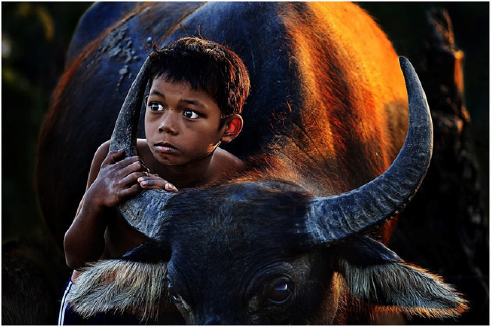 prize winning photos of national youth photo festival 2017