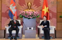 cambodian prime minister receives vietnamese ambassador