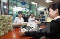 fitch ratings vietnam succeeds in lowering public debt