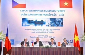 Vietnam, Czech hold huge potential to raise trade revenue