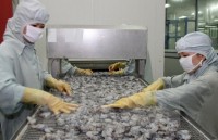 moit strives to boost agri aquatic product export to australia