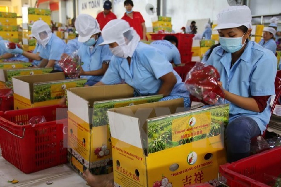 vietnams fruit exporters prosper
