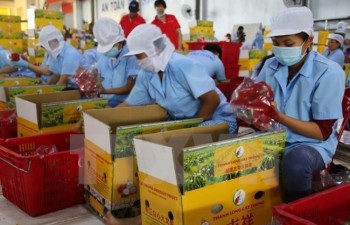 Vietnam hoped to become EU’s largest trade partner in ASEAN