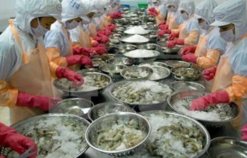 Japanese food companies increase appearance in Vietnam