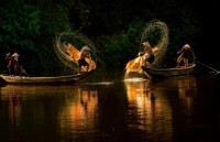 vietnamese photographer wins fiaps gold medal