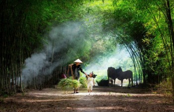 Vietnam through lens of Zing photo contestants