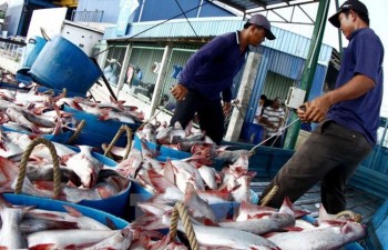 Vietnam, Australia cooperate in combating illegal fishing