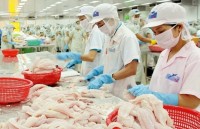 us cuts anti dumping taxes on vietnamese catfish