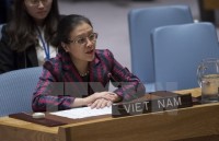 vietnamese diplomat calls for long term solution to refugee problem