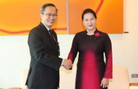 national assembly chairwoman meets singaporean president