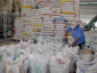 vietnam firms win bids to sell rice to philippines