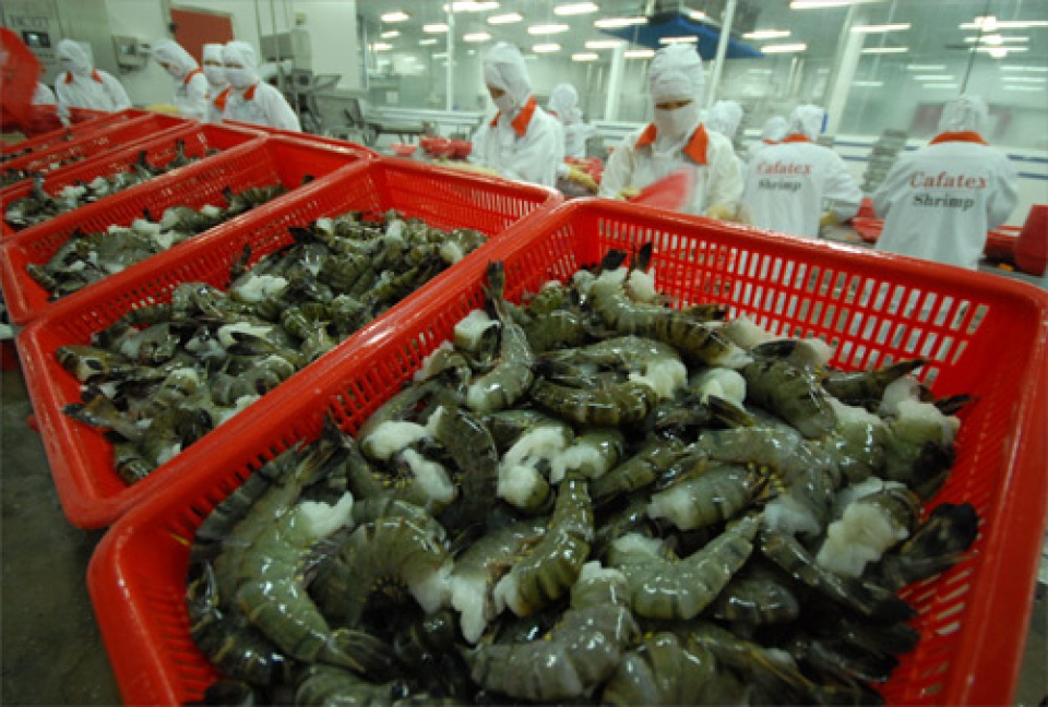 australia agrees to re import processed shrimps from vietnam