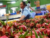 vietnamese dragon fruit on australian shelves