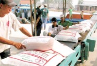 rice exporters advised to diversify markets
