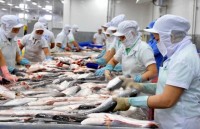us cuts anti dumping taxes on vietnamese catfish