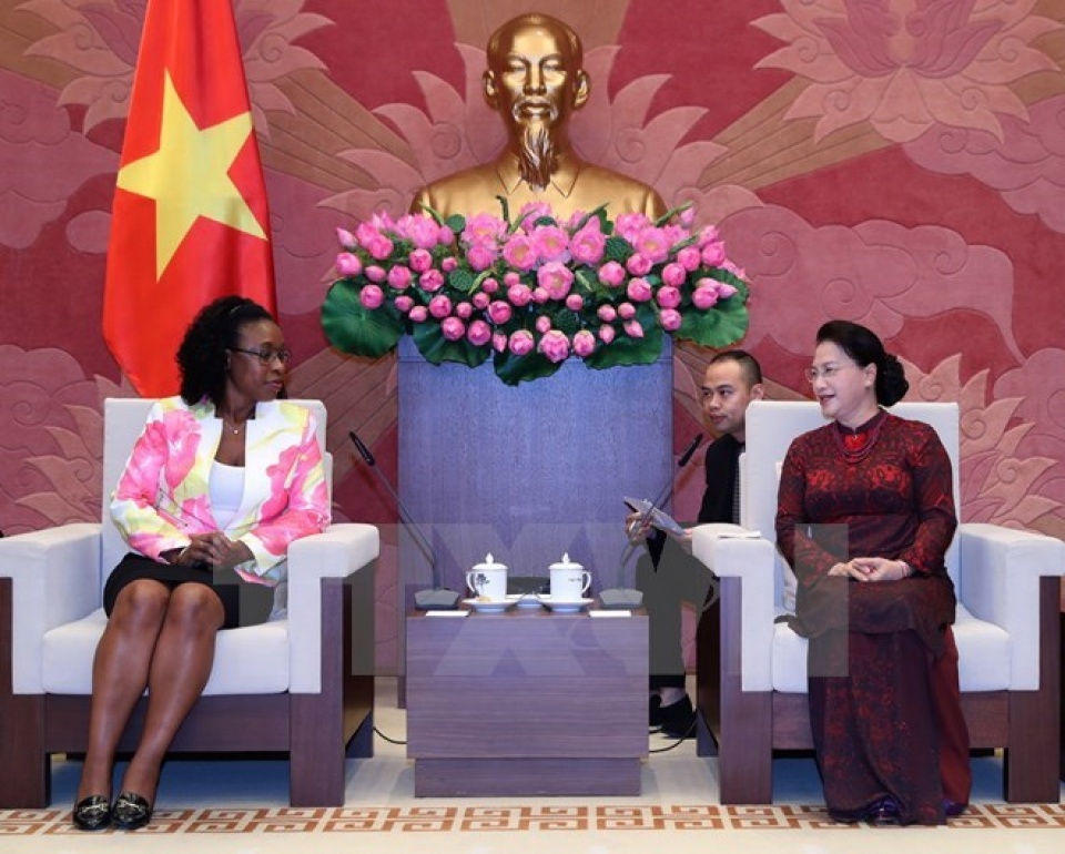 judicial ties important to vietnam mozambique relations na leader