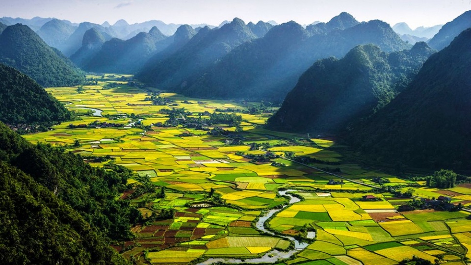 vietnam tops asian region in travel growth