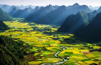 Vietnam tops Asian region in travel growth