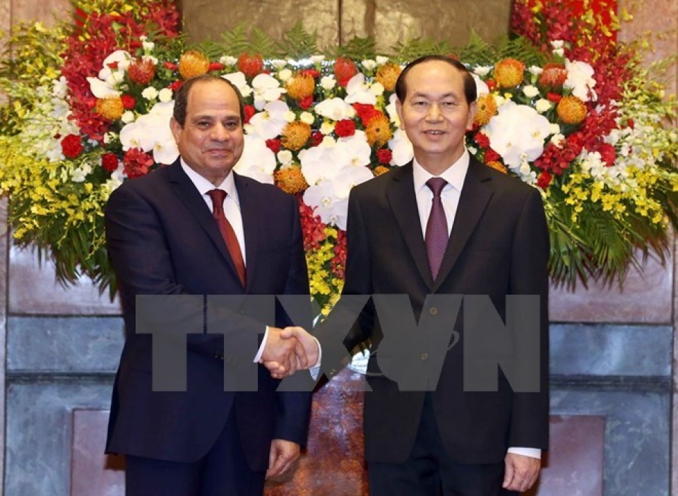 ambassador vietnam egypt ties expected to grow strongly