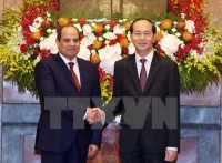 high level visits to shape basis for stronger vietnam egypt ties