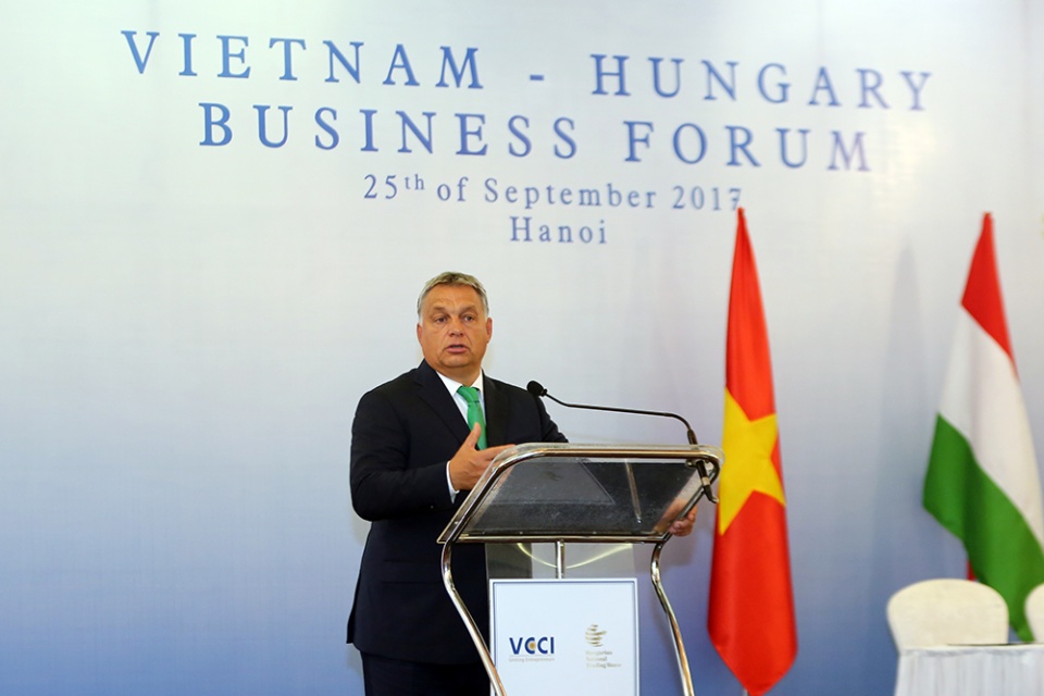 vietnam hungarian businesses seek cooperation opportunities
