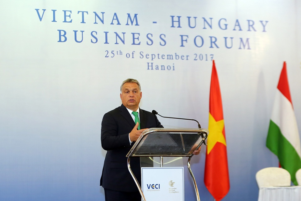 Vietnam, Hungarian businesses seek cooperation opportunities vietnam hungarian businesses seek cooperation opportunities