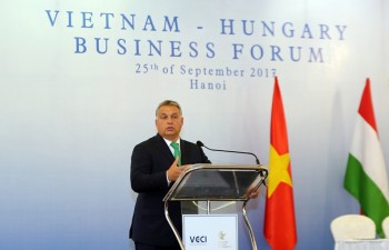 Vietnam, Hungarian businesses seek cooperation opportunities