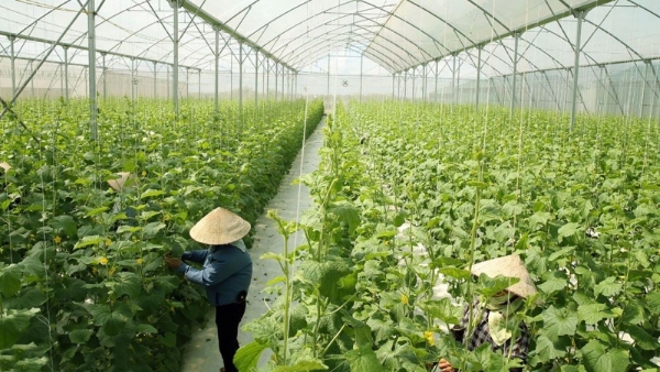 Vietnam reduces agricultural emissions towards green production
