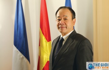 Vietnam-France ties thrive: Ambassador