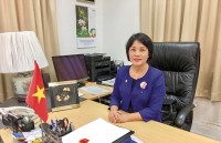 vietnam attends seanwfz aichr meetings in singapore