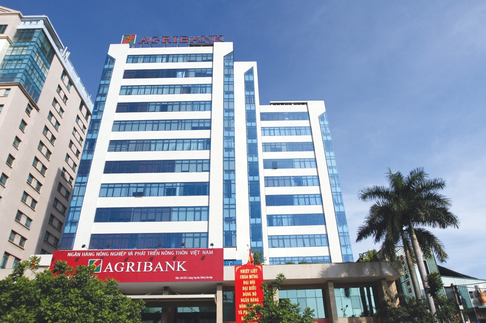 agribank to firmly carry out equitization
