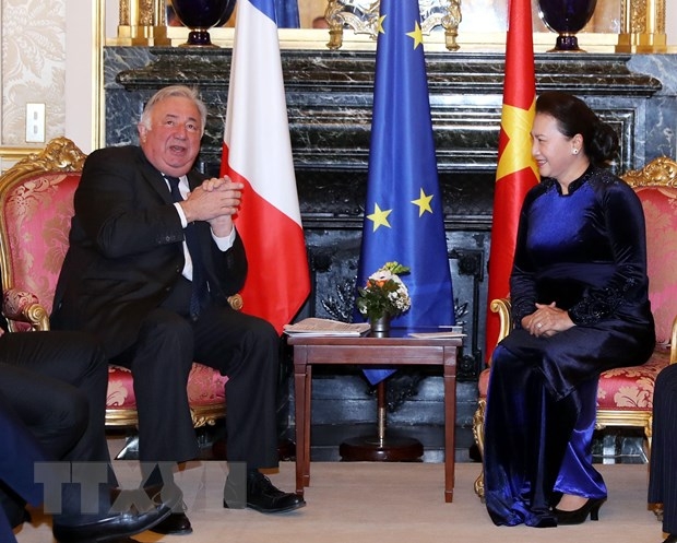 na chairwoman vietnam regards france as priority partner