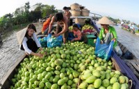 summer camp young expats visit late president ho chi minhs homeland
