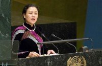 ambassador nguyen hong thao elected as ilc vice chairman