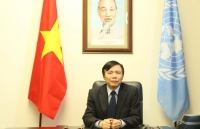 vietnam contributes to world peace