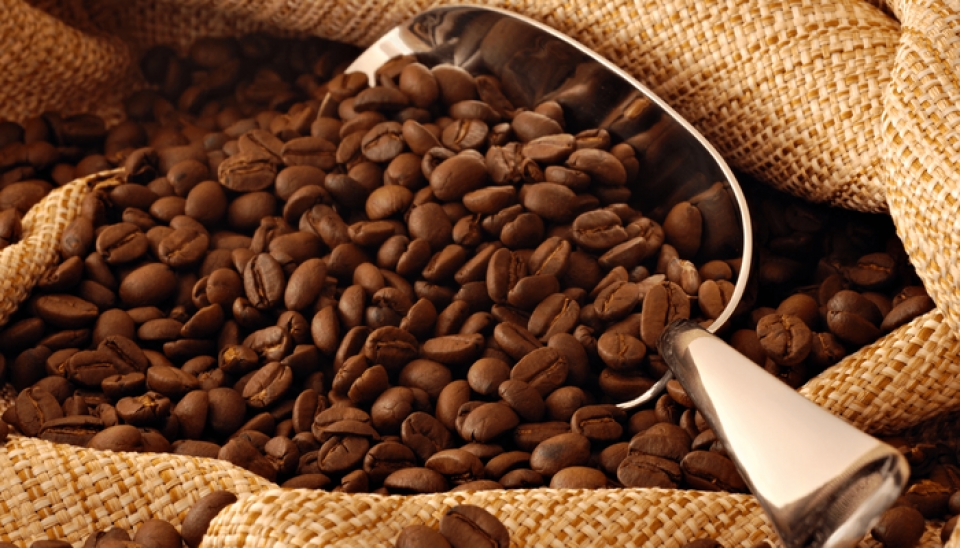 Vietnam remains world's second biggest coffee exporter