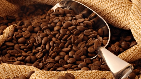 Vietnam remains world's second biggest coffee exporter