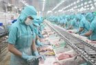 Vietnam’s seafood industry poised for growth after PM Chinh’s landmark Brazil visit