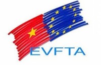 deputy foreign minister affirmed vietnams expectation of the approval of evfta
