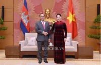 vietnamese cambodian border provinces convene 10th meeting