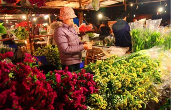 Dozens of spring flower markets to be held in Ha Noi