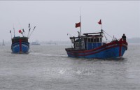 national steering committee on iuu fishing prevention set up