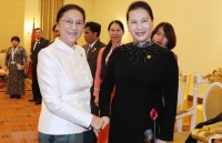 top leaders of vietnam and laos hold talks in vientiane