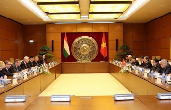 Vietnamese, Hungarian parliaments foster partnership